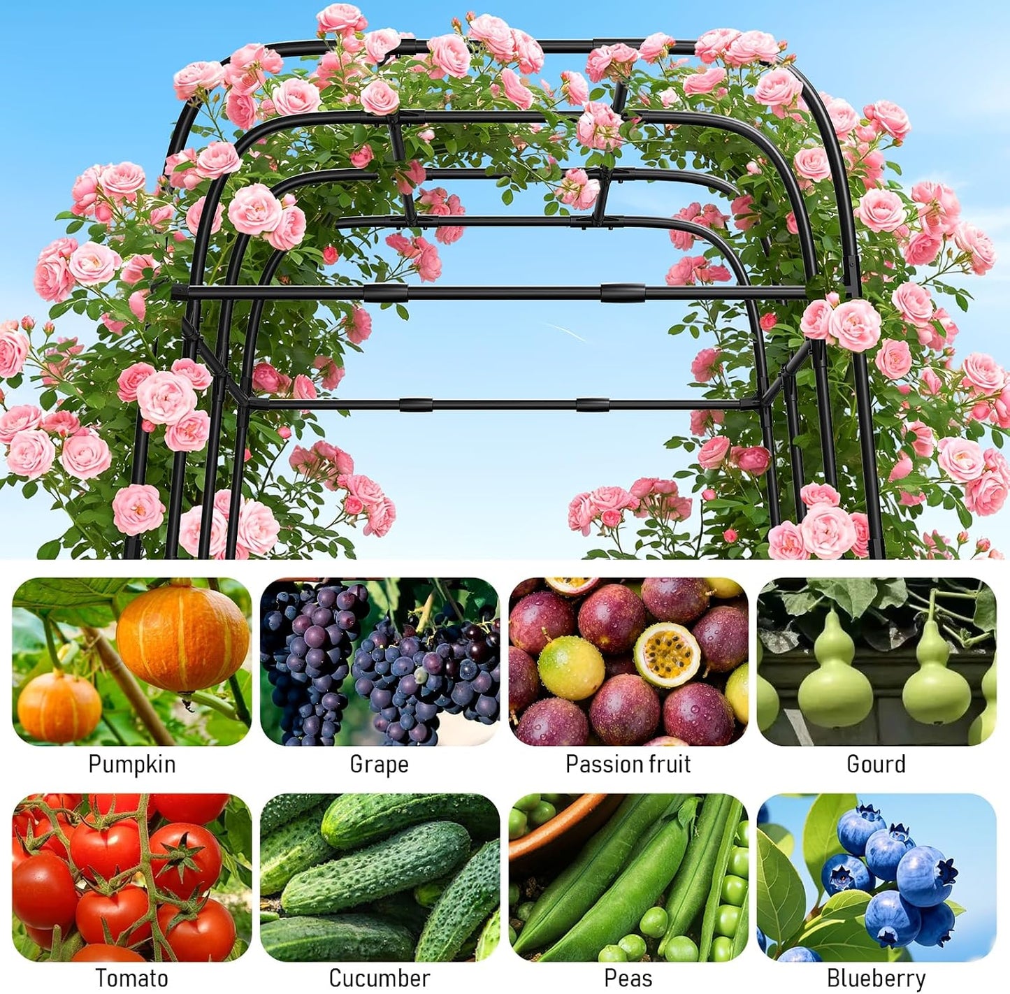 7FT Garden Trellis Arch for Climbing Plants – Tall Outdoor Metal Trellis for Vegetables, Peas, Tomatoes,﻿ Cucumber Trellis Arch & Vertical Garden Climber Plant Support for Vine Plants