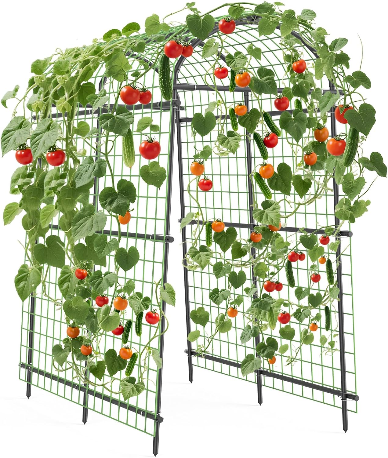 7.5FT Metal Garden Arch Trellis with Netting, Adjustable 35"–45" Arbor for Climbing Plants, Roses, Grapes & Vegetables, Weatherproof Steel Pergola with Ground Clips, Easy Fold-Out Assembly