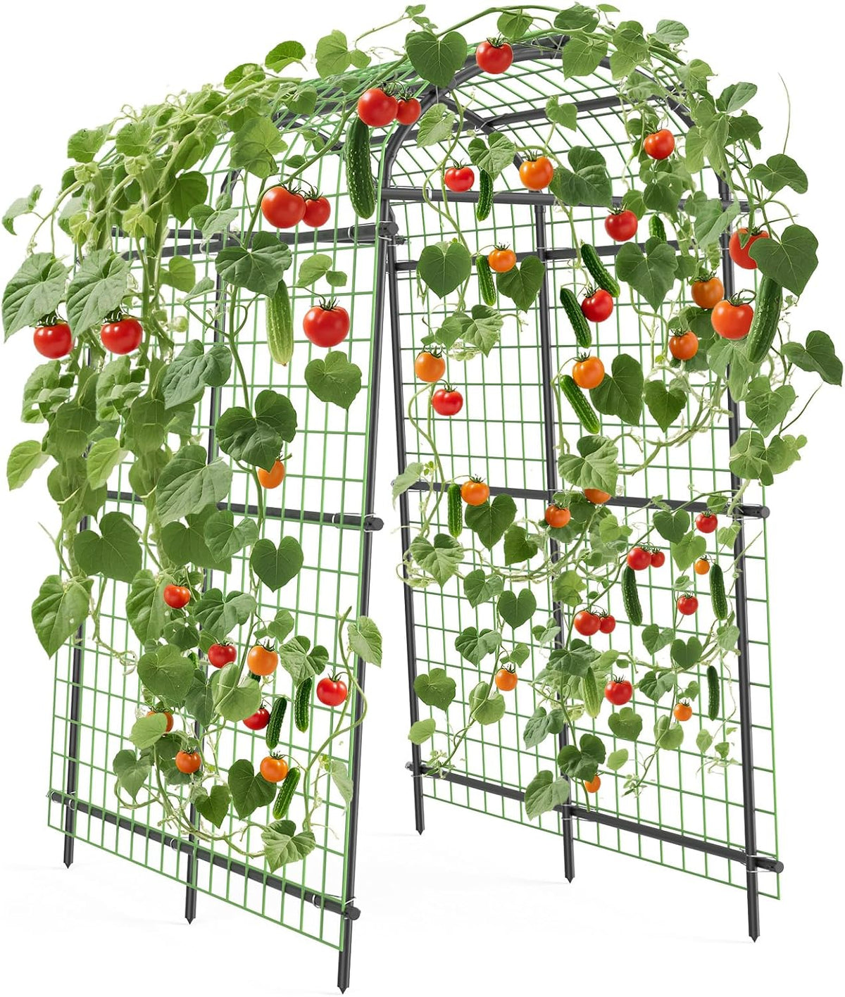 7.5FT Metal Garden Arch Trellis with Netting, Adjustable 35"–45" Arbor for Climbing Plants, Roses, Grapes & Vegetables, Weatherproof Steel Pergola with Ground Clips, Easy Fold-Out Assembly