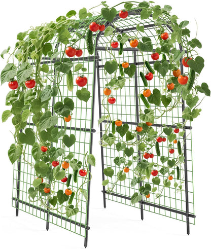 7.5FT Metal Garden Arch Trellis with Netting, Adjustable 35"–45" Arbor for Climbing Plants, Roses, Grapes & Vegetables, Weatherproof Steel Pergola with Ground Clips, Easy Fold-Out Assembly