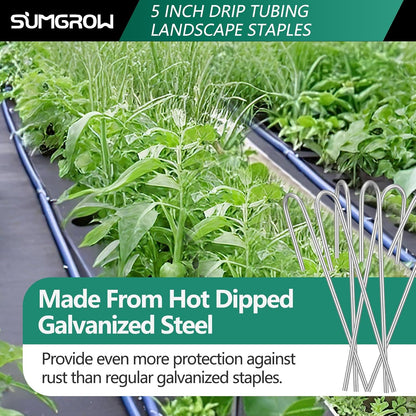 120 Pack Drip Irrigation Stakes for 1/4 or 1/8 Tubing, Metal Staples
