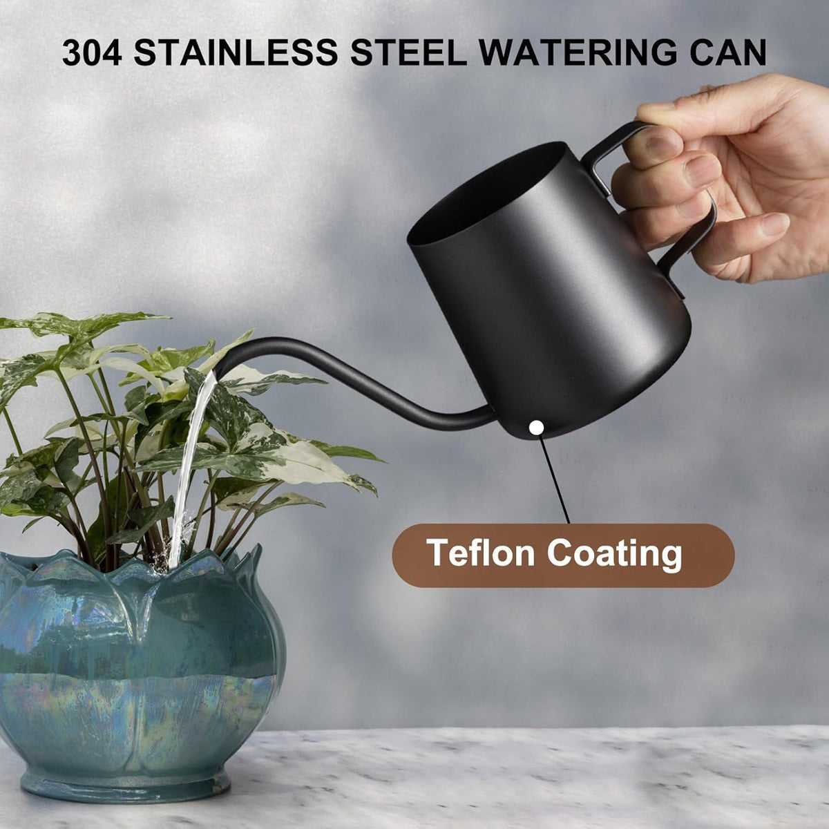 Watering Can Indoor Plants, Small Plant Watering Can, 12 oz, Black