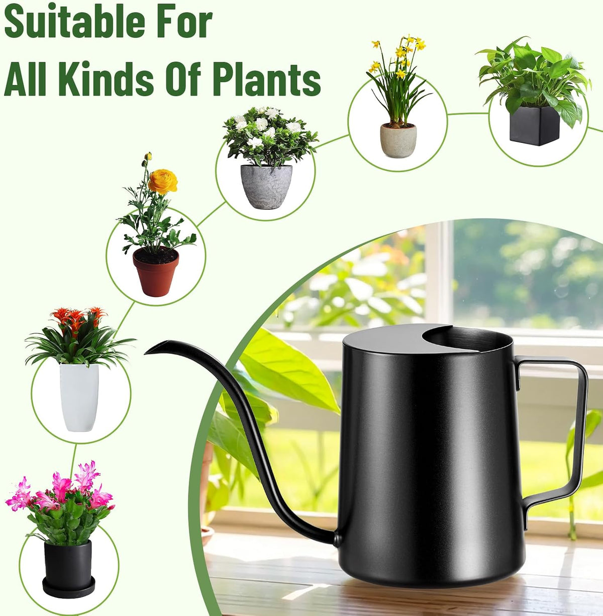 Watering Can Indoor Plants, Small Plant Watering Can, 12 oz, Black