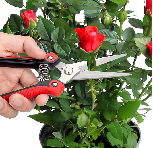 Pruning Shears 8.1 Inch, High Carbon Steel Micro Tip Hand Pruners for Garden & Indoor Plants, Lightweight Effortless Clippers with Safety Lock for Roses & Bonsai