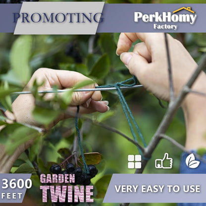 Garden Twine Strong Natural Jute 800 Feet Long Green Twine for Gardening Tomato Climbing Plant Tie Floristry Crafts Gift Wrapping Packing Decor (Green 2mm * 800feet)