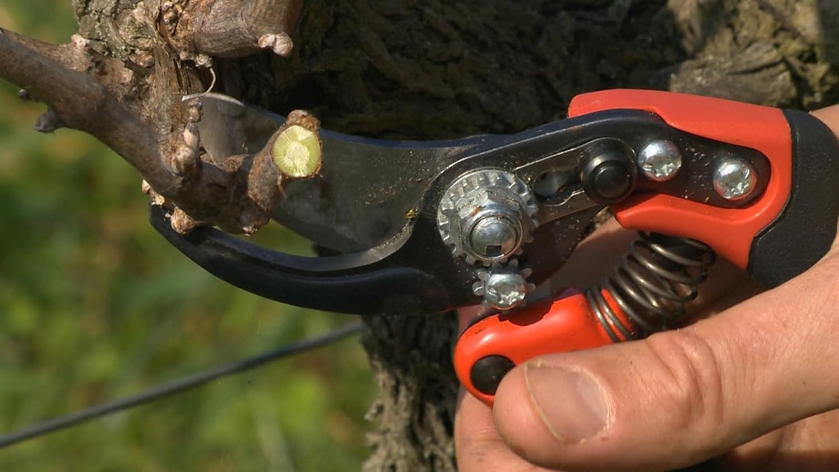 BAHPX-M2-L ERGO Medium Left-Hand Bypass Pruning Shears, 3/4" Cut Cap