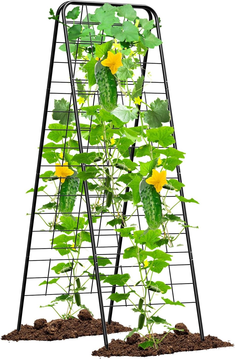 Heavy Duty Cucumber Trellis, 50" x 17" A-Frame Garden Trellis