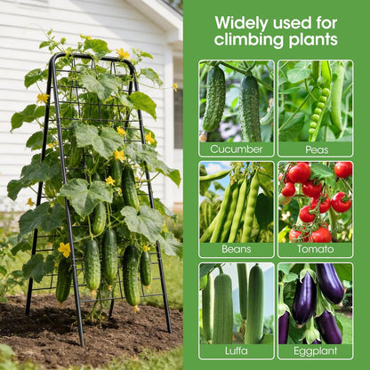Heavy Duty Cucumber Trellis, 50" x 17" A-Frame Garden Trellis