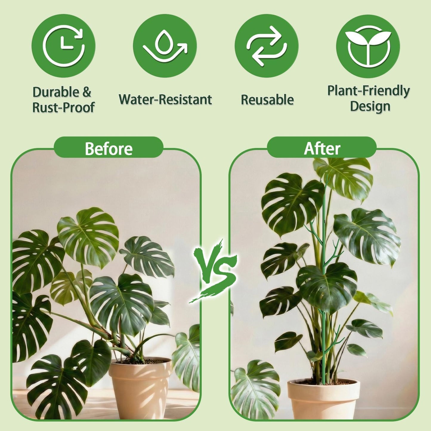 Telescoping Monstera Support Stakes, Detachable Plant Sticks 2 Pack