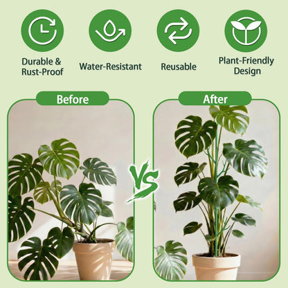 Telescoping Monstera Support Stakes, Detachable Plant Sticks 2 Pack