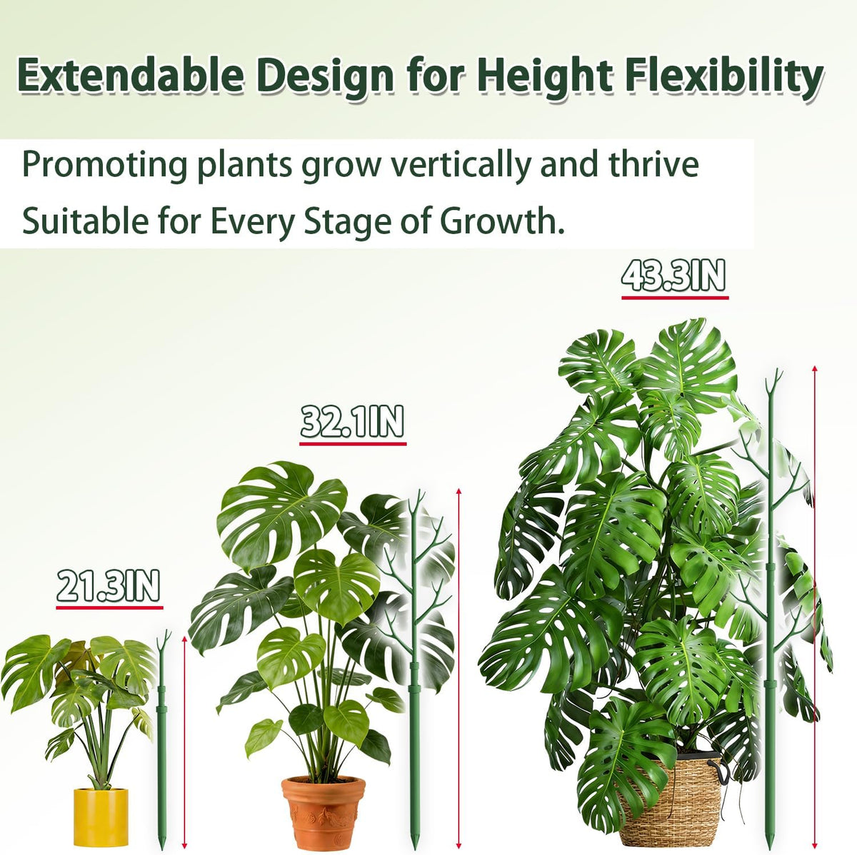 Telescoping Monstera Support Stakes, Detachable Plant Sticks 2 Pack
