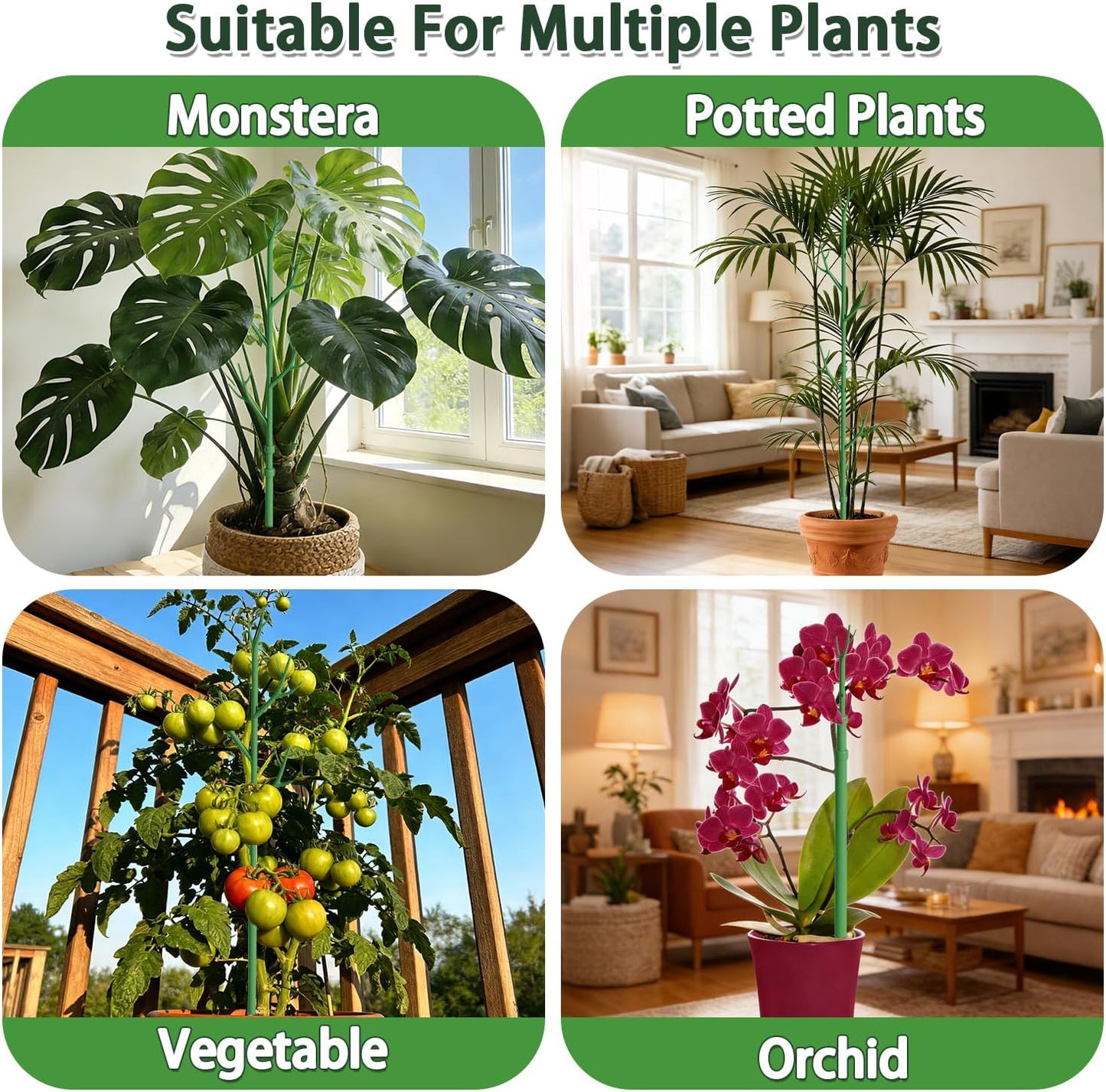 Telescoping Monstera Support Stakes, Detachable Plant Sticks 2 Pack