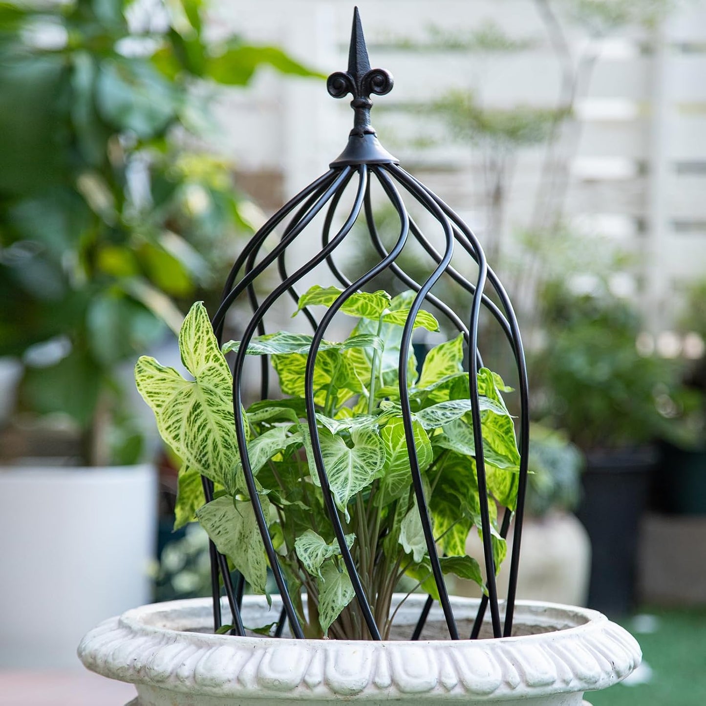 Obelisk Trellis Garden - 27" Metal Climbing Support for Vines