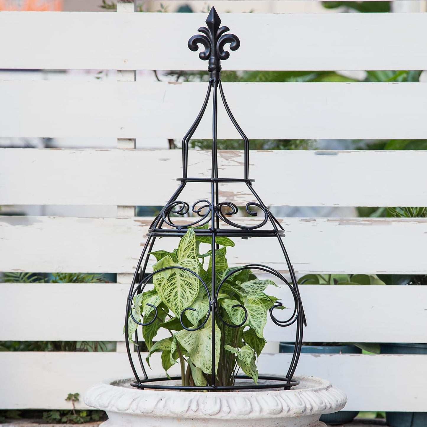 Obelisk Trellis Garden - 27" Metal Climbing Support for Vines