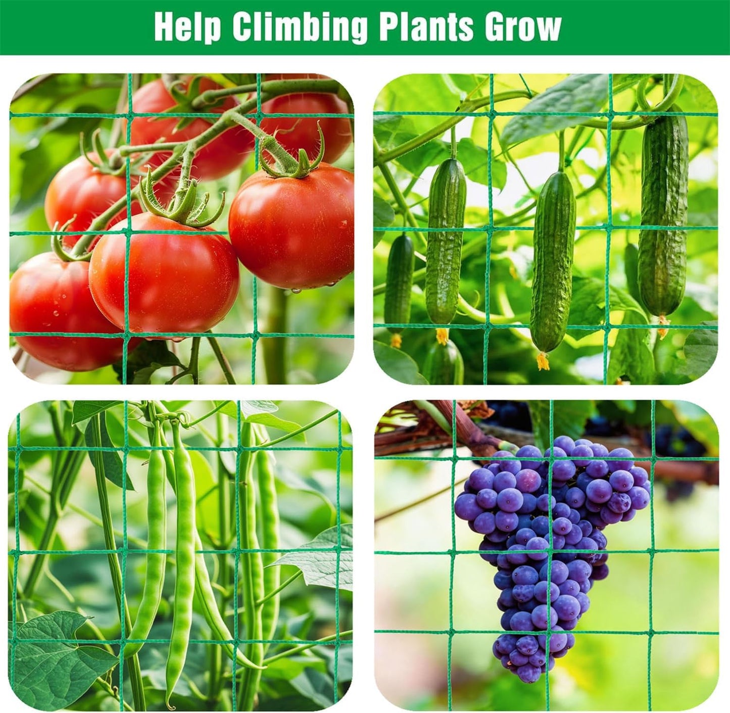 Trellis Netting for Climbing Plants, 6.6x9.85 FT Heavy Duty Garden Trellis Net with 27 Strands Nylon for Cucumber, Grape, Vine, Vegetables, Flowers, Bean, Tomato Grow Trellis Net (Green, 1 Pack)