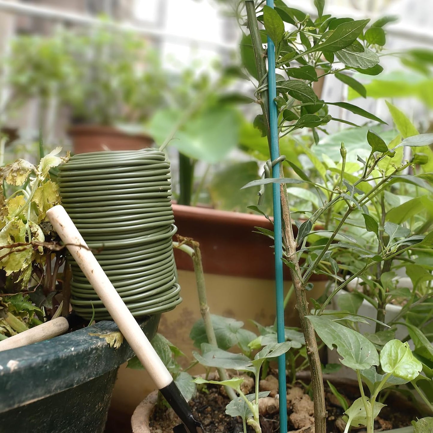101 Feet Soft Plant Ties Dark Green Plant Twist Ties, Plant Ties for Support. Gardening Supplies for Plants Office Home Organization 3mm Diameter
