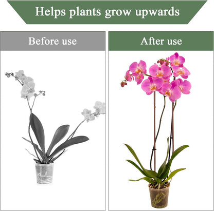 10 Pack Orchid Stakes and Clips, Flexible Plant Support Stakes,11.8 Inch Plant Holder Stick for Garden,Plants Supports for Tomato Rose Outdoor Indoor Plants Professional Phalaenopsis