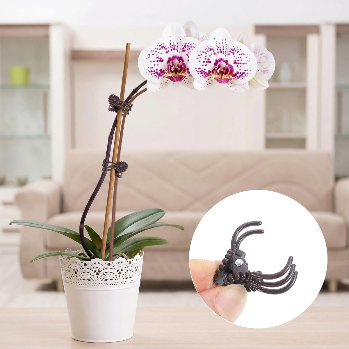 10 Pack Orchid Stakes and Clips, Flexible Plant Support Stakes,11.8 Inch Plant Holder Stick for Garden,Plants Supports for Tomato Rose Outdoor Indoor Plants Professional Phalaenopsis