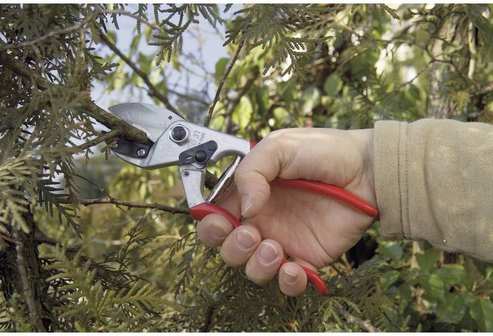F31 Pruning Shears – 8.3" Garden Clippers with Anvil Blade for Dry & Hard Wood | Hand Pruner for Gardening | Garden Tool Cutter with Aluminum Handle, Alloy Steel Blade, High-Torque Cutting Power