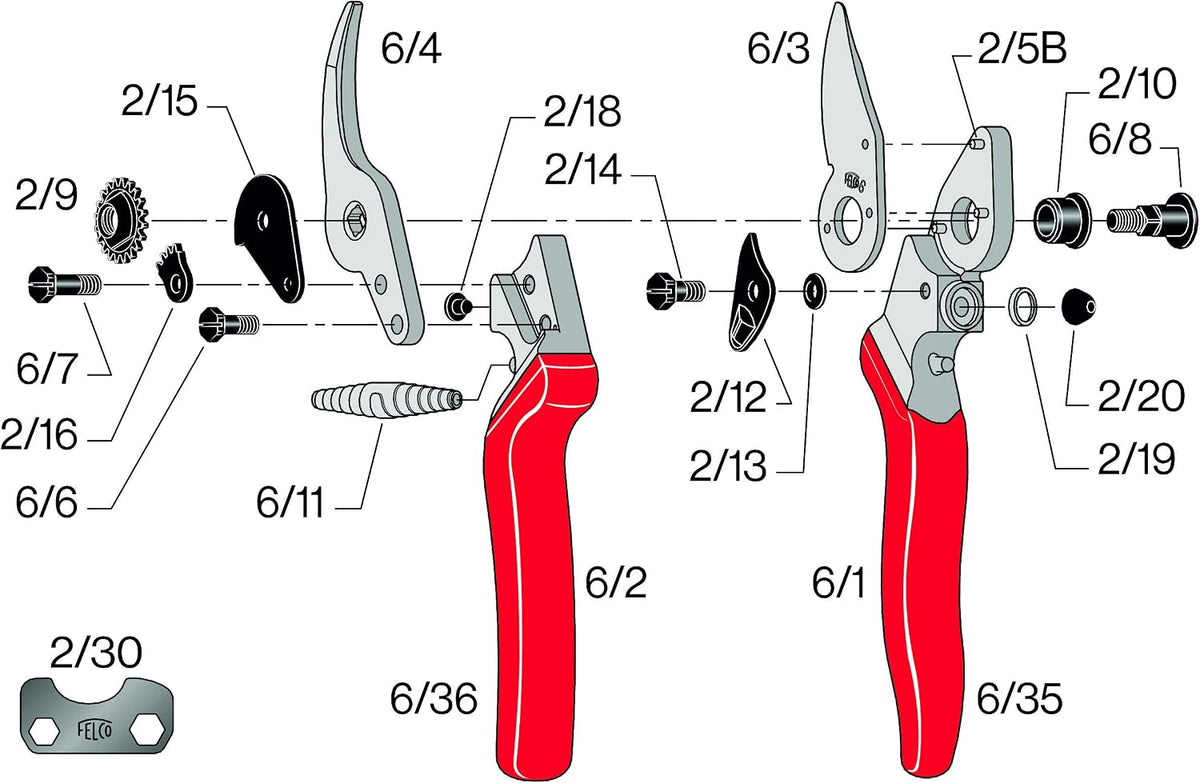F31 Pruning Shears – 8.3" Garden Clippers with Anvil Blade for Dry & Hard Wood | Hand Pruner for Gardening | Garden Tool Cutter with Aluminum Handle, Alloy Steel Blade, High-Torque Cutting Power