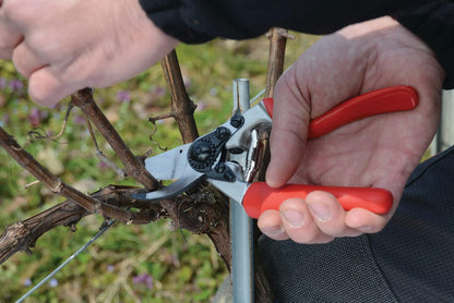 F31 Pruning Shears – 8.3" Garden Clippers with Anvil Blade for Dry & Hard Wood | Hand Pruner for Gardening | Garden Tool Cutter with Aluminum Handle, Alloy Steel Blade, High-Torque Cutting Power