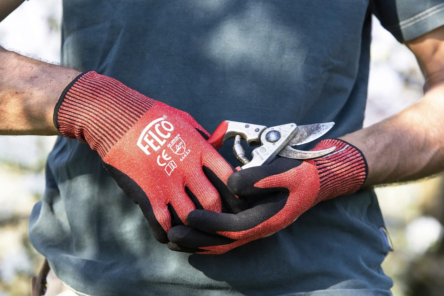 F31 Pruning Shears – 8.3" Garden Clippers with Anvil Blade for Dry & Hard Wood | Hand Pruner for Gardening | Garden Tool Cutter with Aluminum Handle, Alloy Steel Blade, High-Torque Cutting Power