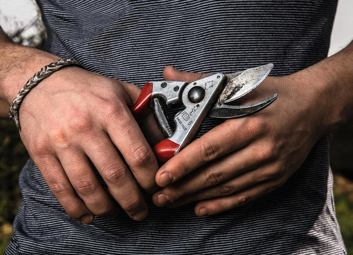 F31 Pruning Shears – 8.3" Garden Clippers with Anvil Blade for Dry & Hard Wood | Hand Pruner for Gardening | Garden Tool Cutter with Aluminum Handle, Alloy Steel Blade, High-Torque Cutting Power