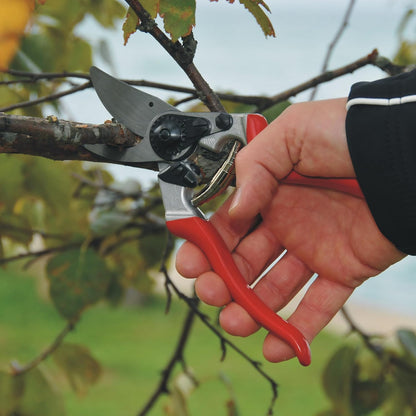 F31 Pruning Shears – 8.3" Garden Clippers with Anvil Blade for Dry & Hard Wood | Hand Pruner for Gardening | Garden Tool Cutter with Aluminum Handle, Alloy Steel Blade, High-Torque Cutting Power