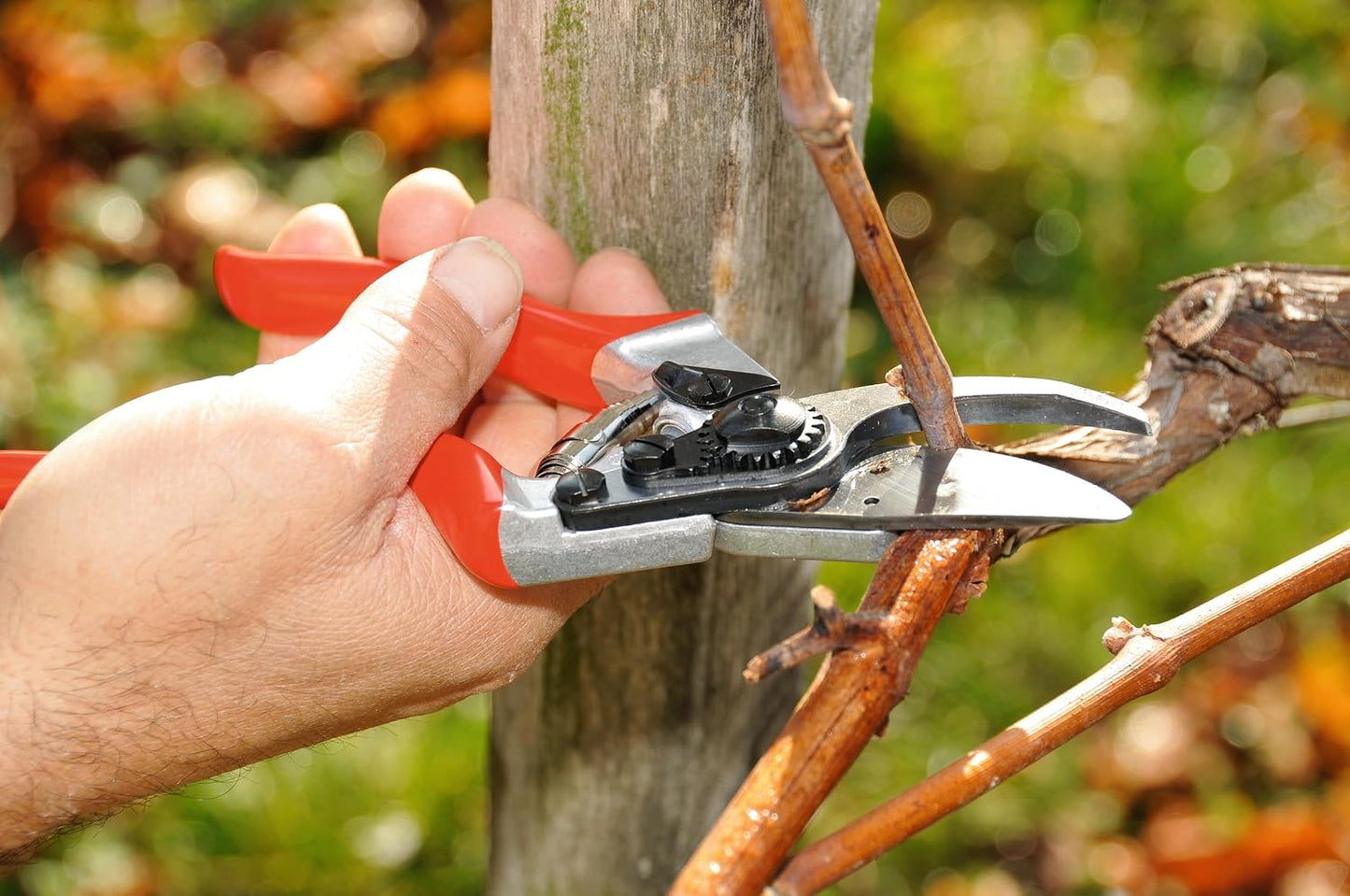 F31 Pruning Shears – 8.3" Garden Clippers with Anvil Blade for Dry & Hard Wood | Hand Pruner for Gardening | Garden Tool Cutter with Aluminum Handle, Alloy Steel Blade, High-Torque Cutting Power