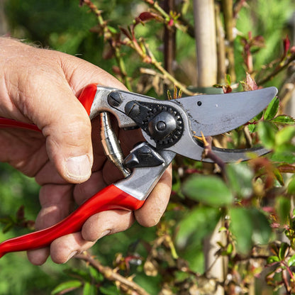 F31 Pruning Shears – 8.3" Garden Clippers with Anvil Blade for Dry & Hard Wood | Hand Pruner for Gardening | Garden Tool Cutter with Aluminum Handle, Alloy Steel Blade, High-Torque Cutting Power