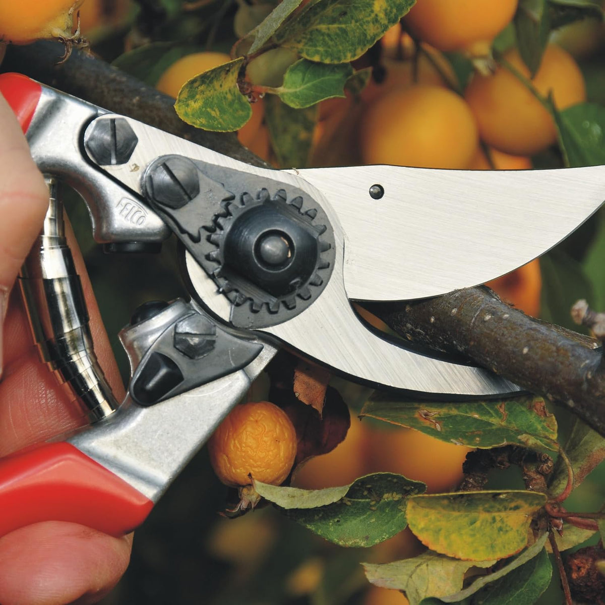 F31 Pruning Shears – 8.3" Garden Clippers with Anvil Blade for Dry & Hard Wood | Hand Pruner for Gardening | Garden Tool Cutter with Aluminum Handle, Alloy Steel Blade, High-Torque Cutting Power