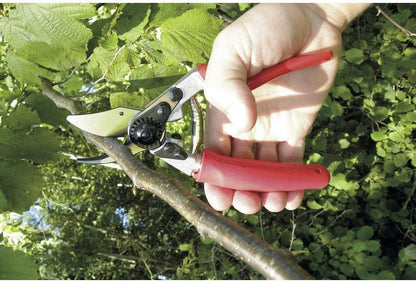 F31 Pruning Shears – 8.3" Garden Clippers with Anvil Blade for Dry & Hard Wood | Hand Pruner for Gardening | Garden Tool Cutter with Aluminum Handle, Alloy Steel Blade, High-Torque Cutting Power