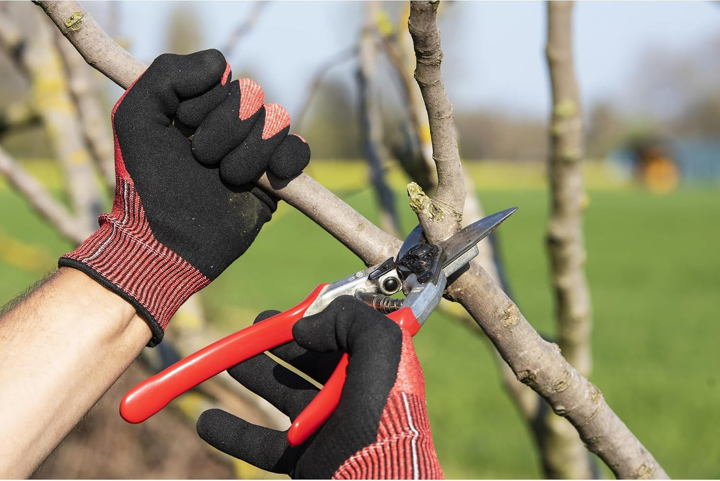 F31 Pruning Shears – 8.3" Garden Clippers with Anvil Blade for Dry & Hard Wood | Hand Pruner for Gardening | Garden Tool Cutter with Aluminum Handle, Alloy Steel Blade, High-Torque Cutting Power