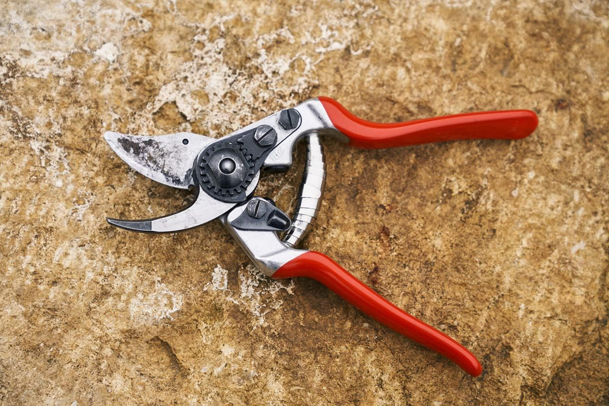 F31 Pruning Shears – 8.3" Garden Clippers with Anvil Blade for Dry & Hard Wood | Hand Pruner for Gardening | Garden Tool Cutter with Aluminum Handle, Alloy Steel Blade, High-Torque Cutting Power