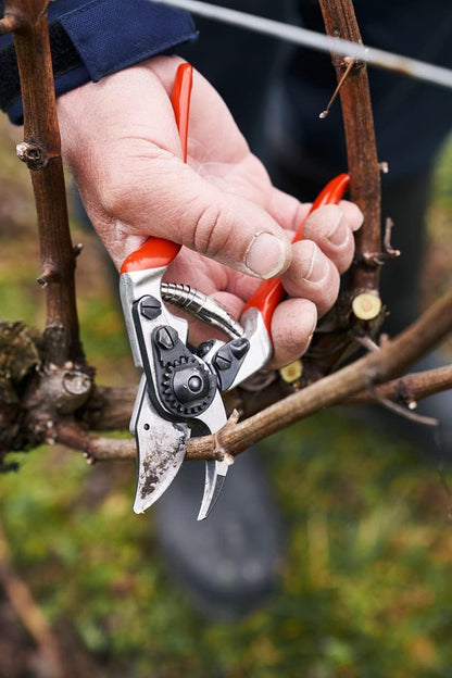 F31 Pruning Shears – 8.3" Garden Clippers with Anvil Blade for Dry & Hard Wood | Hand Pruner for Gardening | Garden Tool Cutter with Aluminum Handle, Alloy Steel Blade, High-Torque Cutting Power