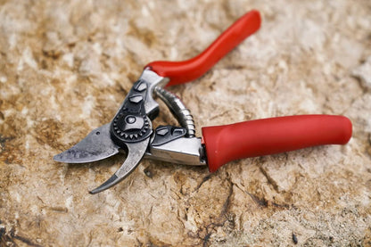 F31 Pruning Shears – 8.3" Garden Clippers with Anvil Blade for Dry & Hard Wood | Hand Pruner for Gardening | Garden Tool Cutter with Aluminum Handle, Alloy Steel Blade, High-Torque Cutting Power