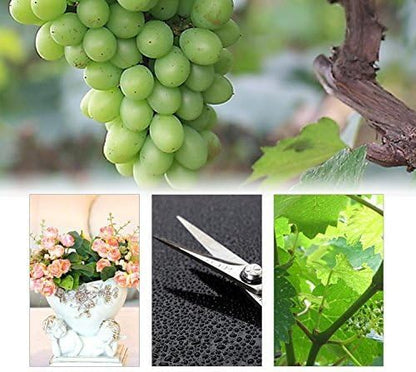 " Sturdy Trimming Scissors for Garden,Fruits and Grapes with Soft Grips and Bent Up Blade"