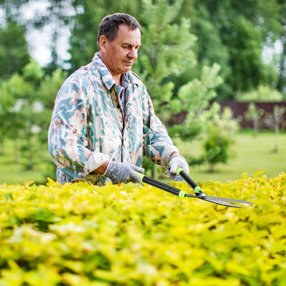 Telescoping Hedge Shears with Sharp 8 Inch Blades for Shrubs and Bushes