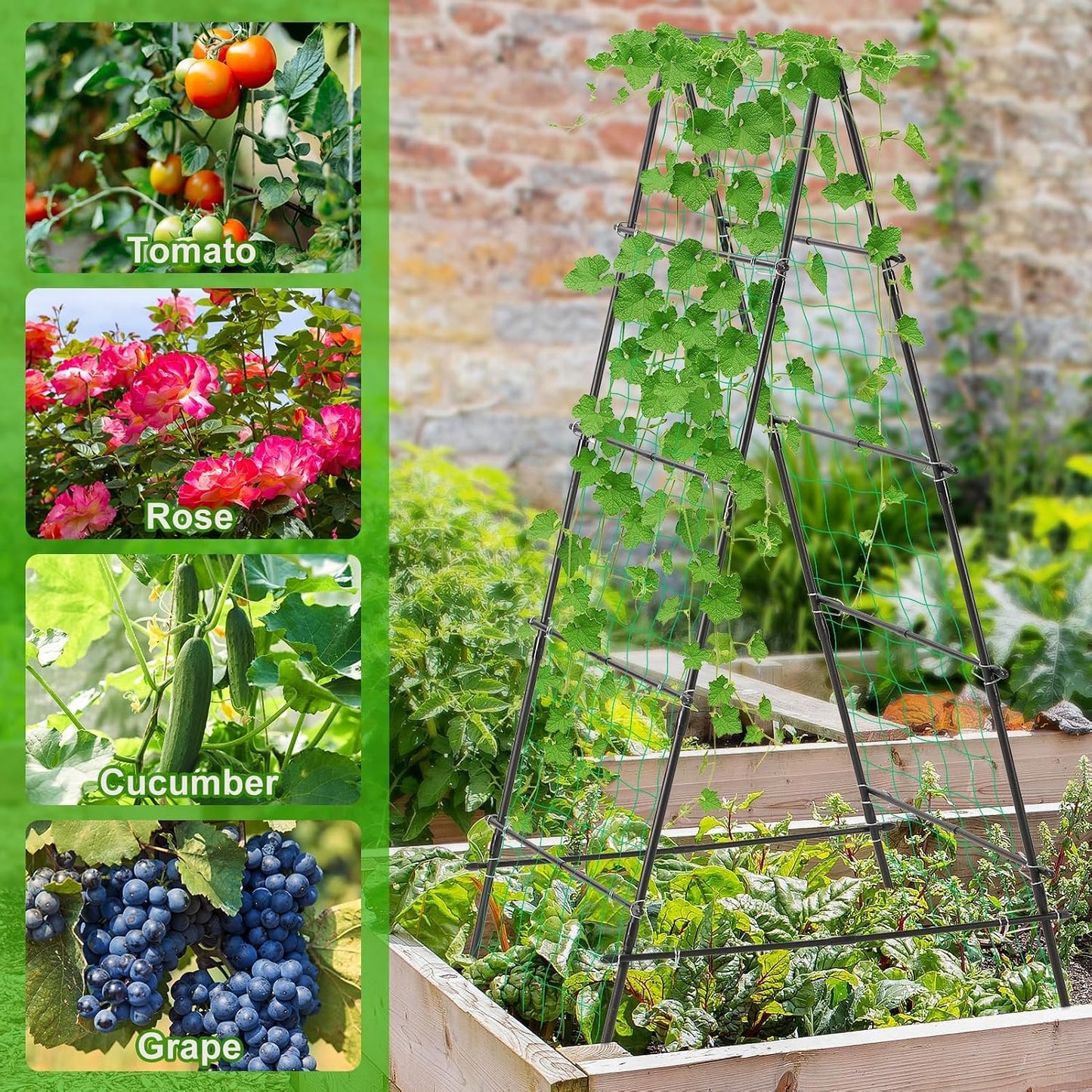 Cucumber Trellis for Raised Garden Bed, 71" H x 32" W A Frame