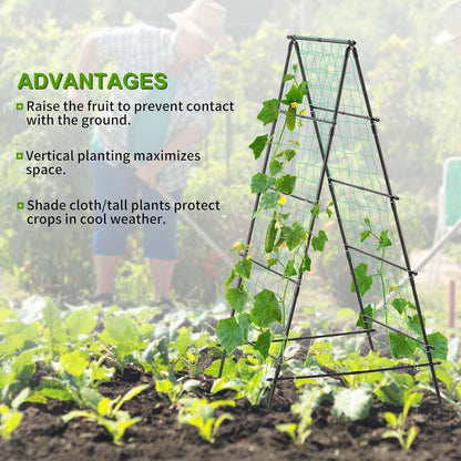 Cucumber Trellis for Raised Garden Bed, 71" H x 32" W A Frame