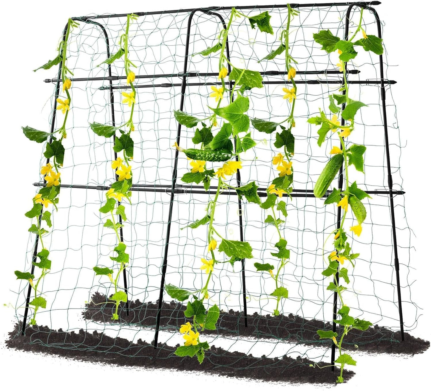 Cucumber Trellis for Raised Garden Bed, 71" H x 32" W A Frame