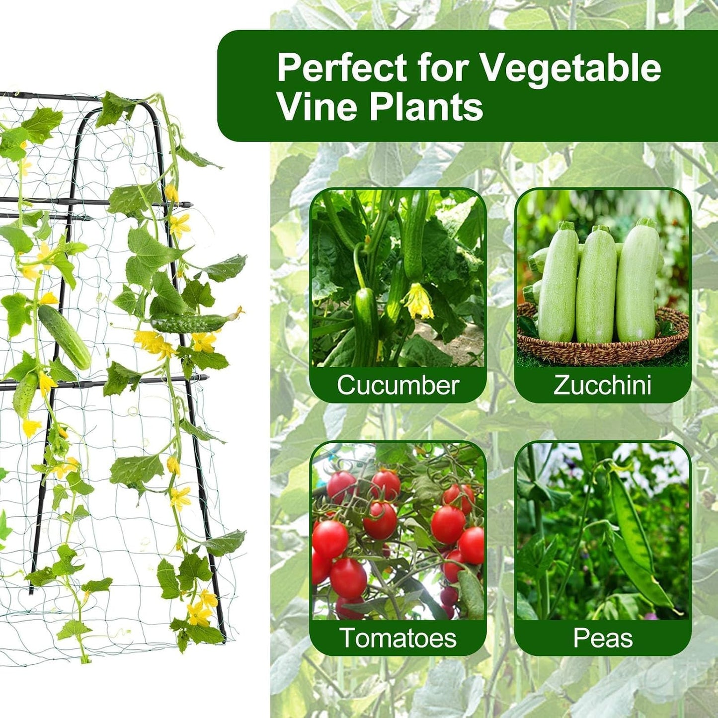 Cucumber Trellis for Raised Garden Bed, 71" H x 32" W A Frame