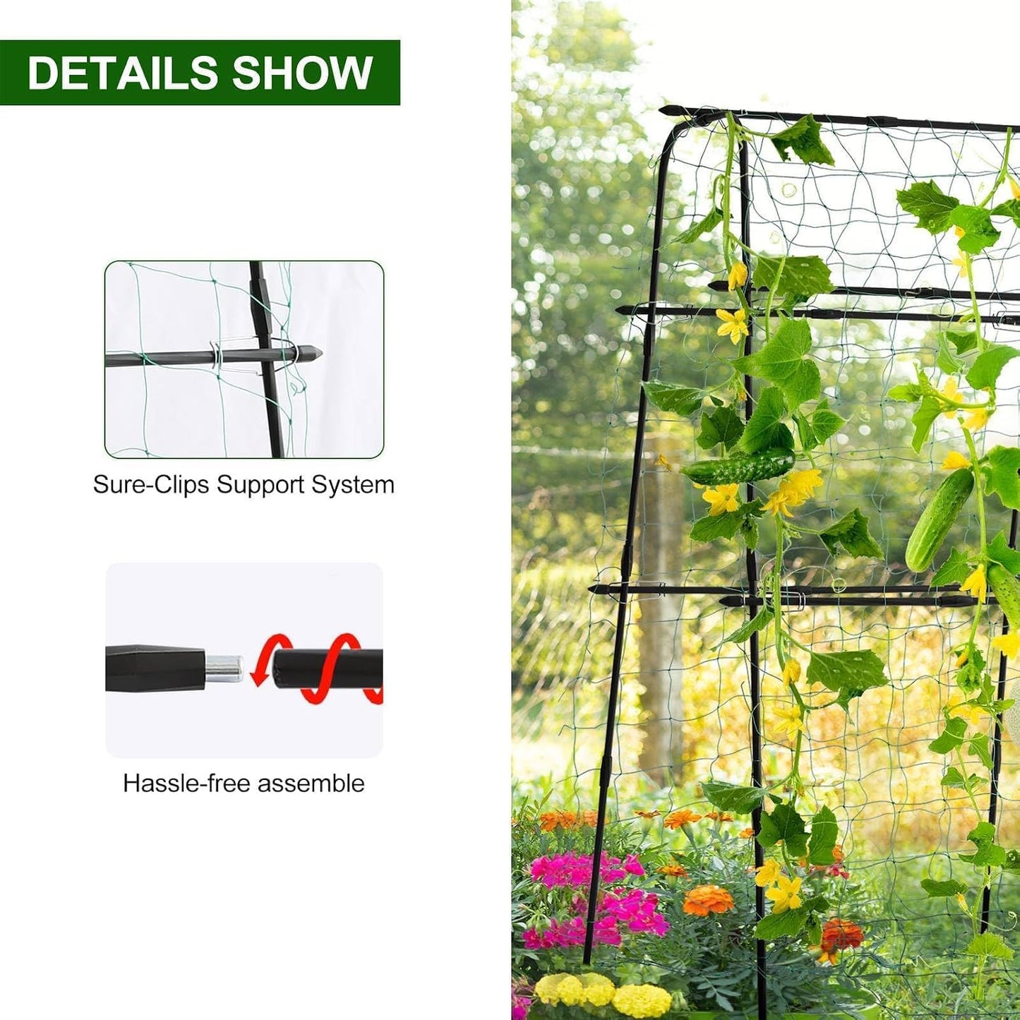 Cucumber Trellis for Raised Garden Bed, 71" H x 32" W A Frame