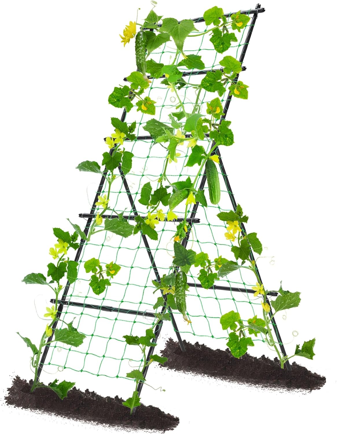 Cucumber Trellis for Raised Garden Bed, 71" H x 32" W A Frame