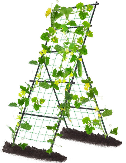Cucumber Trellis for Raised Garden Bed, 71" H x 32" W A Frame