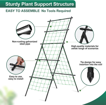 Cucumber Trellis for Raised Garden Bed, 71" H x 32" W A Frame