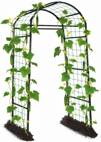 Cucumber Trellis for Raised Garden Bed, 71" H x 32" W A Frame