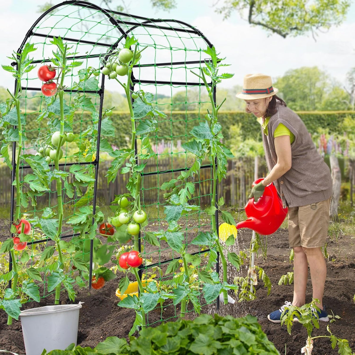 Cucumber Trellis for Raised Garden Bed, 71" H x 32" W A Frame