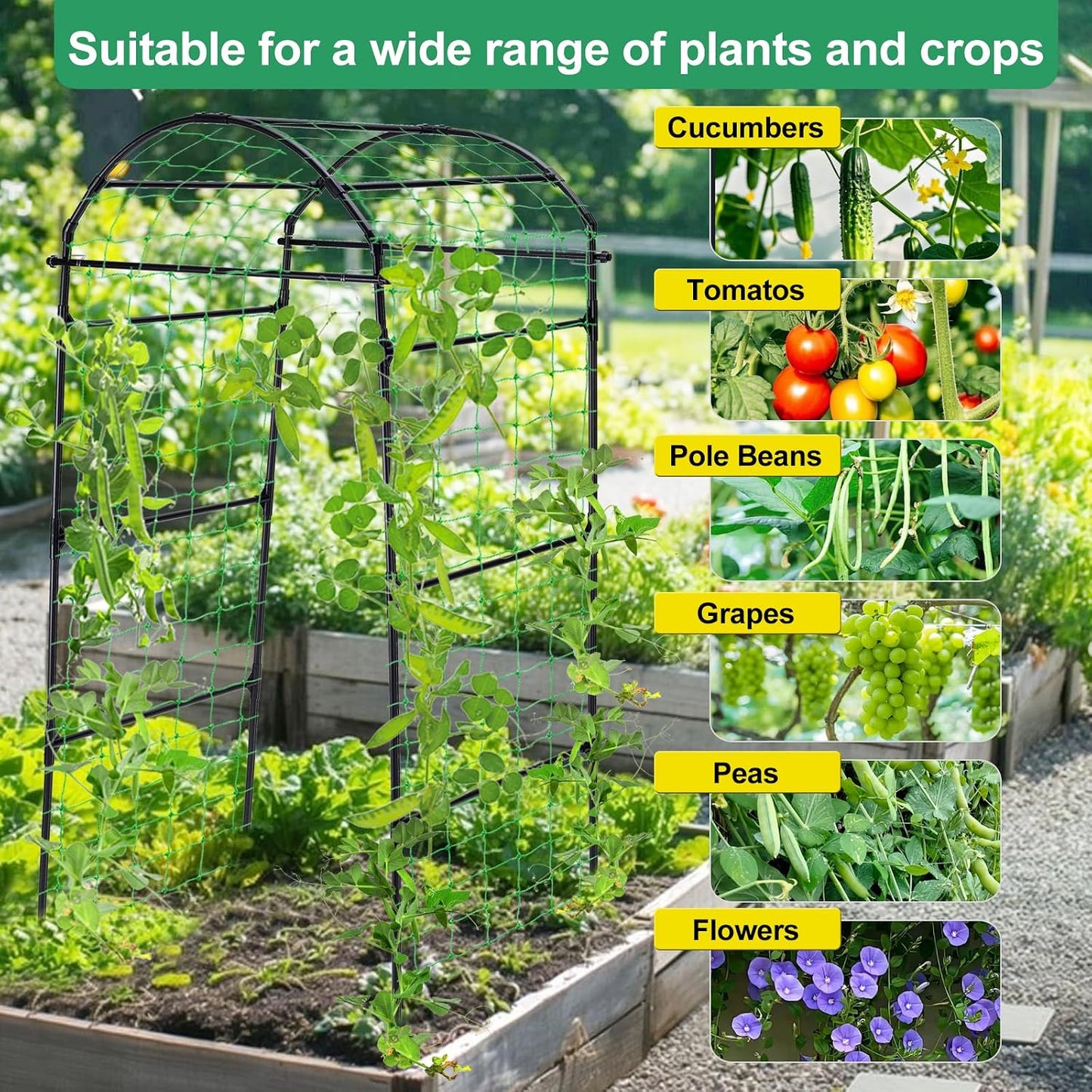 Cucumber Trellis for Raised Garden Bed, 71" H x 32" W A Frame