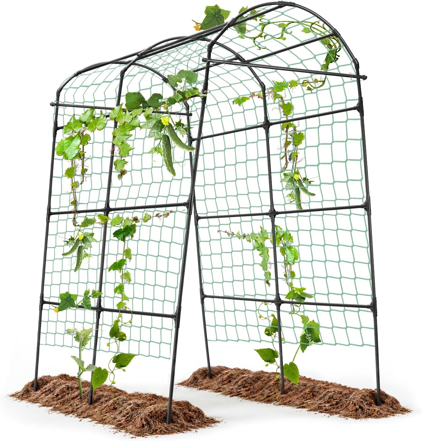 Cucumber Trellis for Raised Garden Bed, 71" H x 32" W A Frame